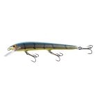 Nils Master Invincivble Pro 12cm