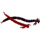 Westin Bloodteez 5,5 cm 0,5 gr 8 pack